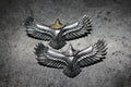 FCT-115 eagle top