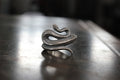 FCR-01 rolled snake ring