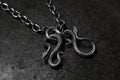 FCT-06 snake charm