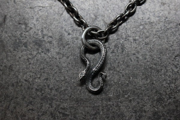 FCT-06 snake charm