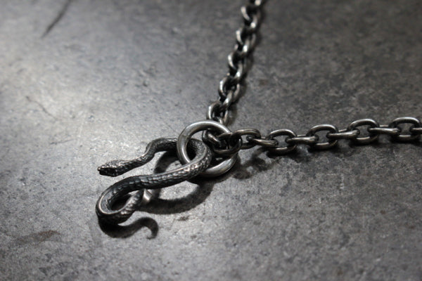 FCT-06 snake charm