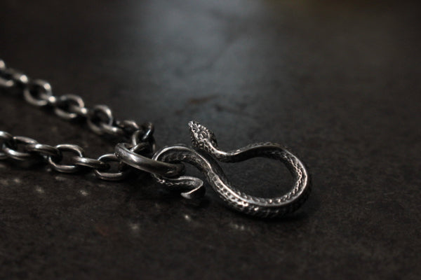 FCT-06 snake charm