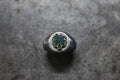 FC SE-1583 round signet/clover/chip turquoise