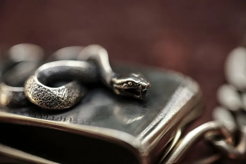 Snake clip type walletchain