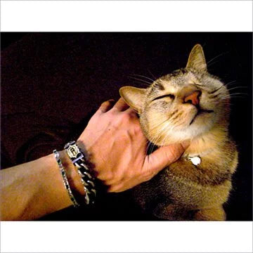 BBM MARISUKA BRACELET