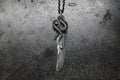 FCT-75/119SH 1st feather + Snake Top
