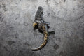 CC-93 flap eagle claw w K18 scroll