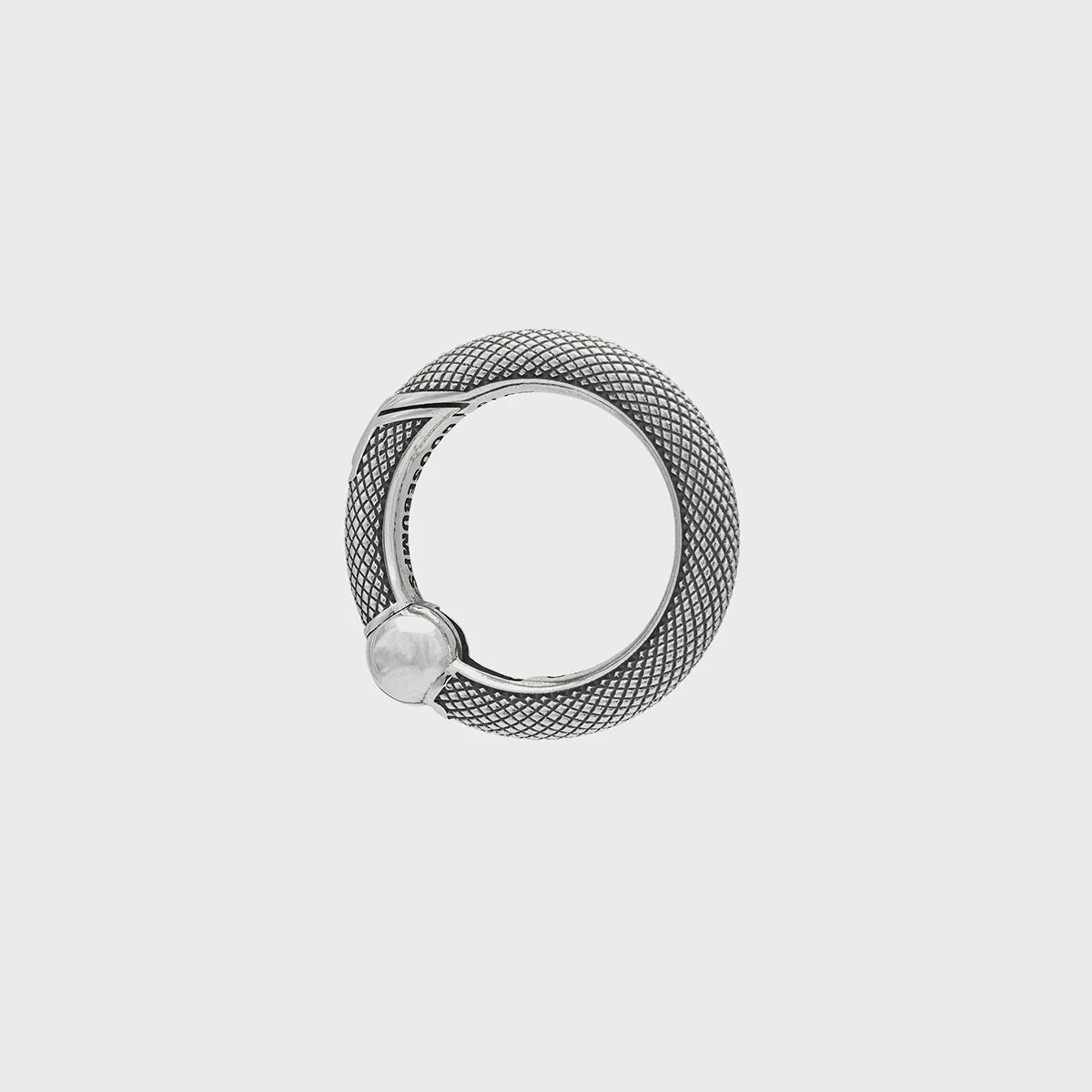 Spring Ring A - Goosebumps