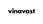 The word 'vinavast' in bold black lowercase letters centered on a plain white background.
